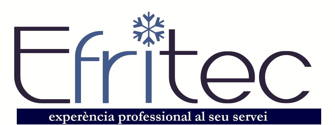 Servicios integrales Efritec